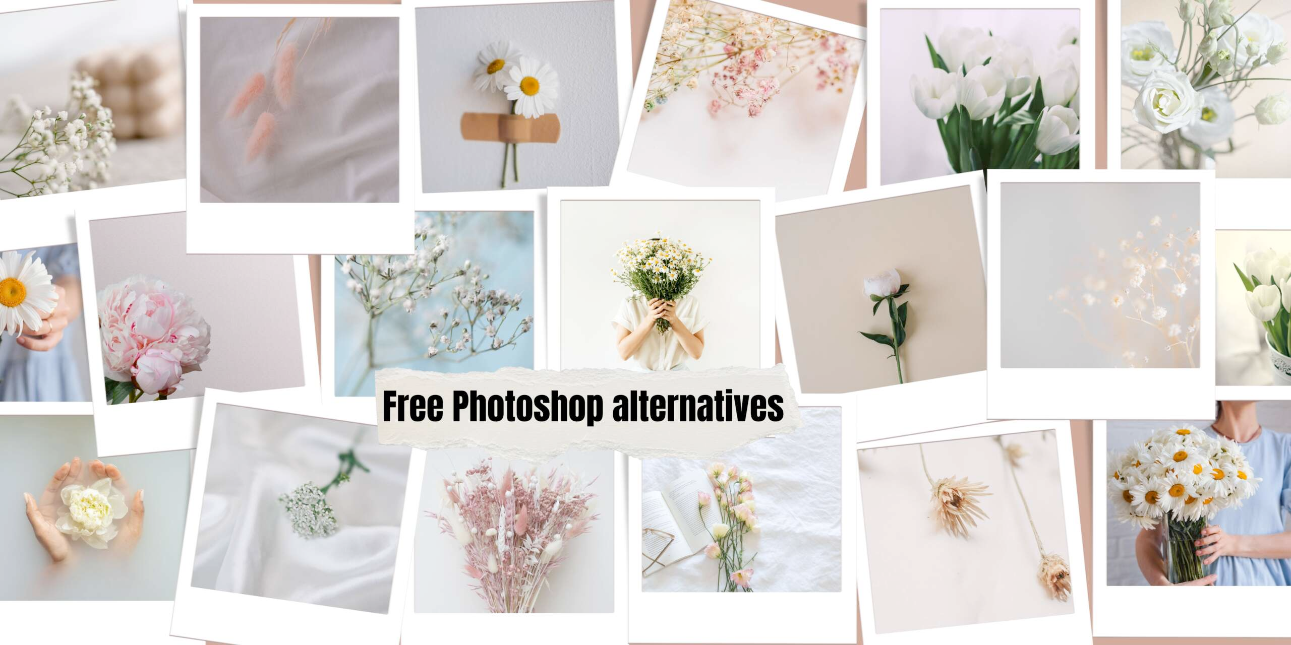 free photoshop alternatives